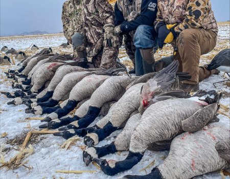 processed-CF3D8524-E8BD-4045-BB5C-2091F0750894-3EB88794-E037-45DE-A489-9832134216FF