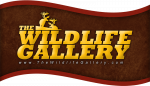 wildlife-gallery-logo