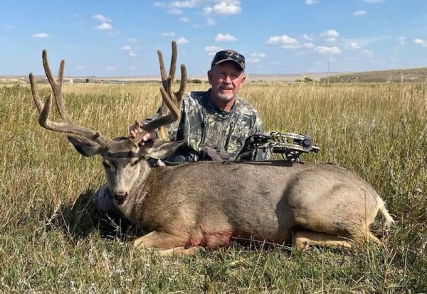 wta-alberta-mule-deer-featured