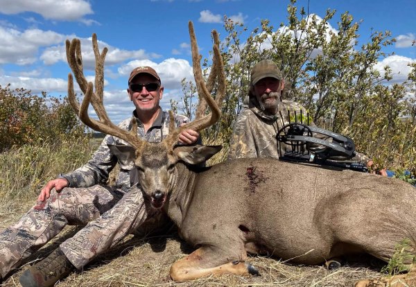 wta-alberta-mule-deer-featured-v2