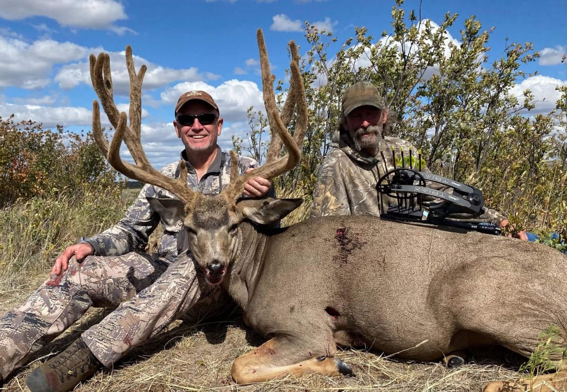 wta-alberta-mule-deer-featured-v2