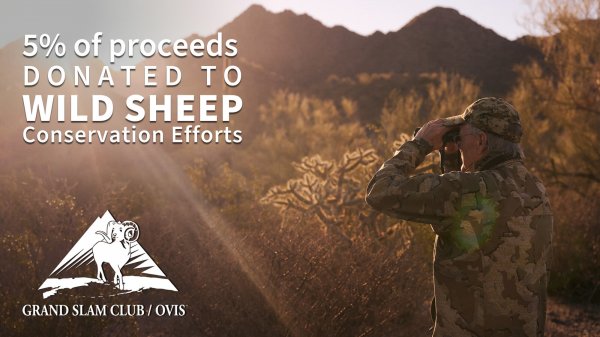 wta-sheepstakes-2026-gsco-wild-sheep-conservation