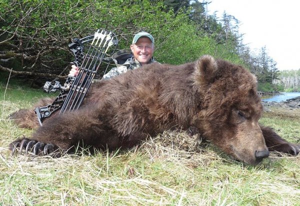 wta_1019_Bert bear 1