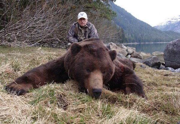 wta_1019_Bert bear 2