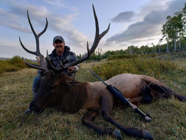 wta_1020_TWO BEAR BULL #1 - '24