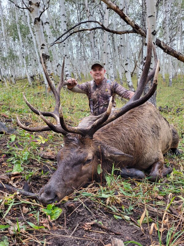 wta_1020_TWO BEAR BULL #8 - '24