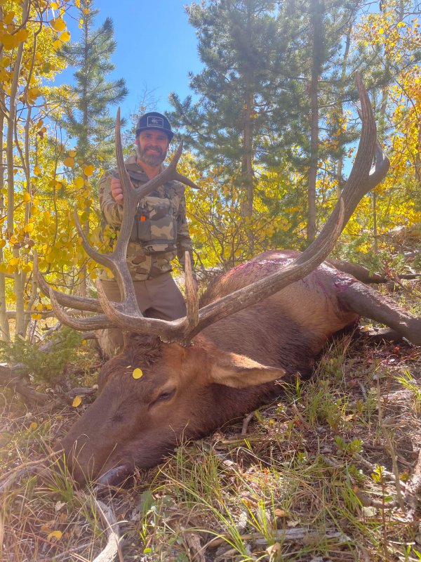 wta_1020_TWO BEAR BULL #9 - '24