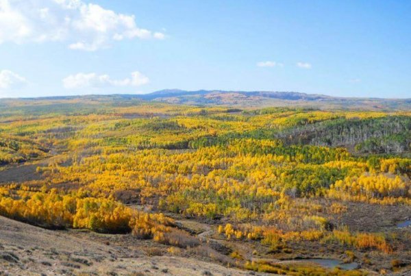 wta_1020_X75JJJ_Country