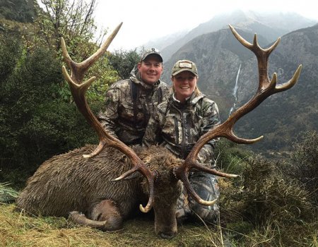 Free Range Red Stag Hunting In New Zealand Free Range Red Stag Hunting In New Zealand