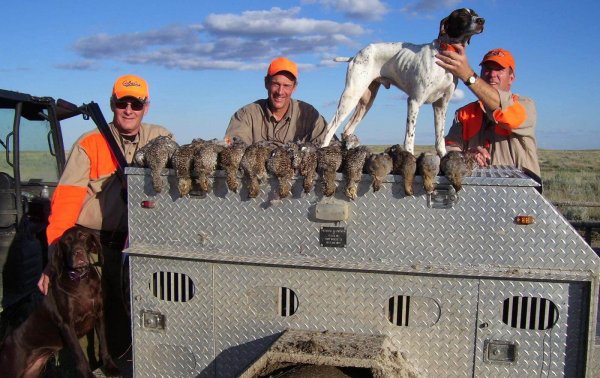 wta_1149_C5D5XH_caitlin148