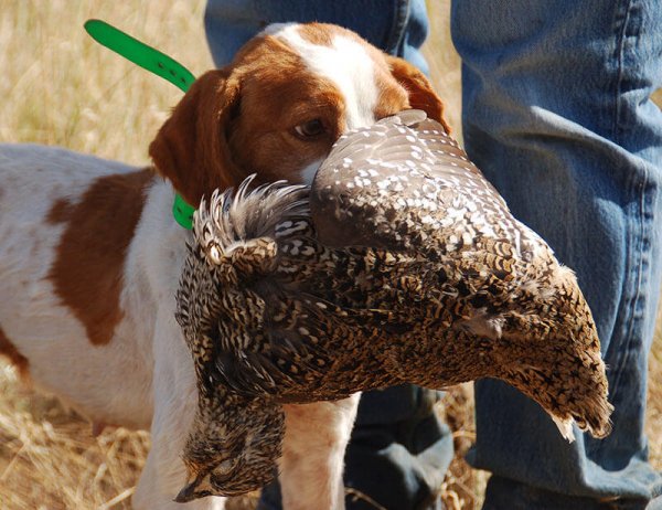 wta_1149_HE365K_Bishop1-Copy