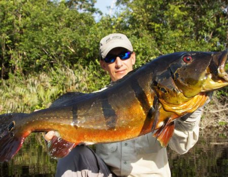 Brazil S World Class Peacock Bass Fishing