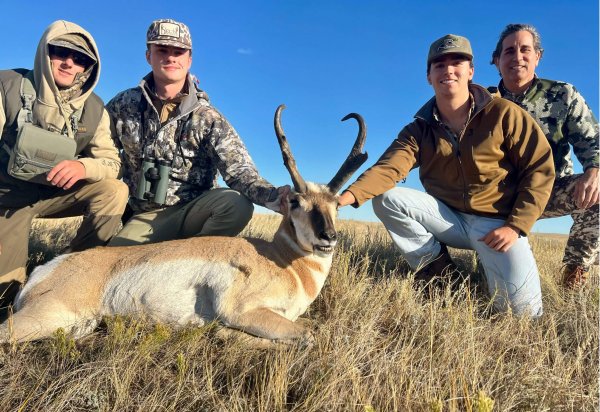 wta_1453_antelope-with-group-of-four