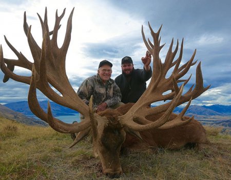 New Zealand Land Of The Giant Red Deer