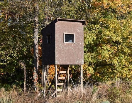 Crossbow Whitetail Hunt In Ohio