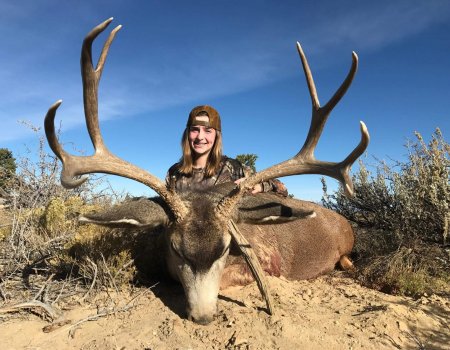 Trophy Mule Deer In New Mexico's Top Units