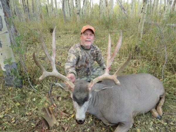 wta_1660_C8DZ3G_deer6crop