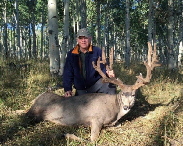 wta_1660_DG7UDO_deer9pau