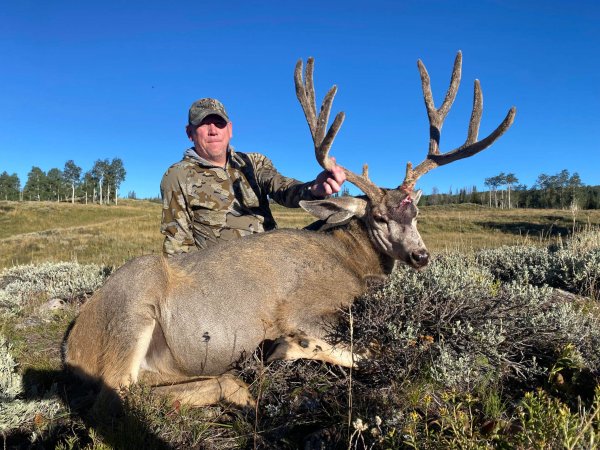 wta_1660_TWO BEAR BUCK #4 - '23