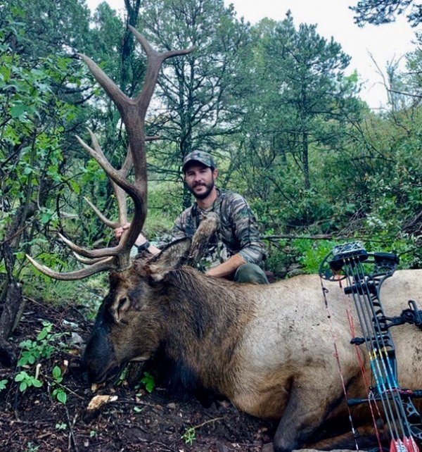 wta_1674_NORTH ORB ARCHERY BULL #1 - '19