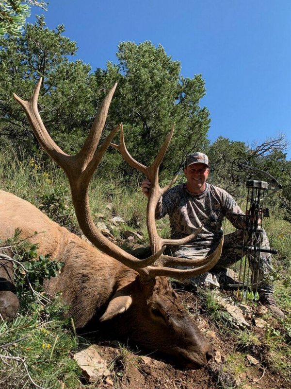 wta_1674_NORTH ORB ARCHERY BULL #3 - 19