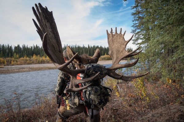 wta_1690_2017.09.16.133530.Yukon-72847