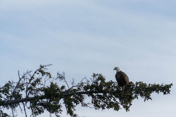 wta_1690_2017.09.20.175128.Yukon-74175