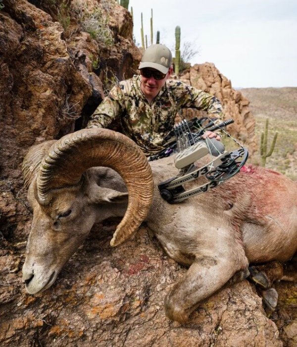 wta_1933_Robert H archery sheep