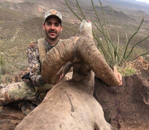 wta_1933_af1f2a61-c44d-466d-9458-2cdc847874b1