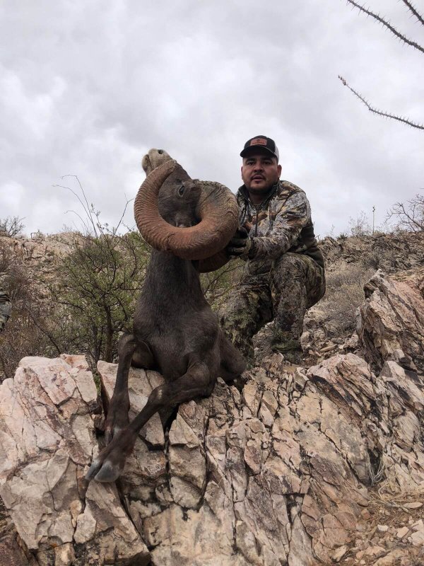 wta_1933_f68001a1-2d0e-499c-9f54-54a29b87cda6