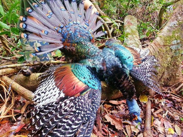 wta_1986_wta_752_76075_074_yucatan-38