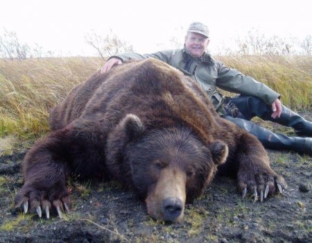 Giant Alaska Peninsula Brown Bear - Great Value - Worldwide Trophy ...