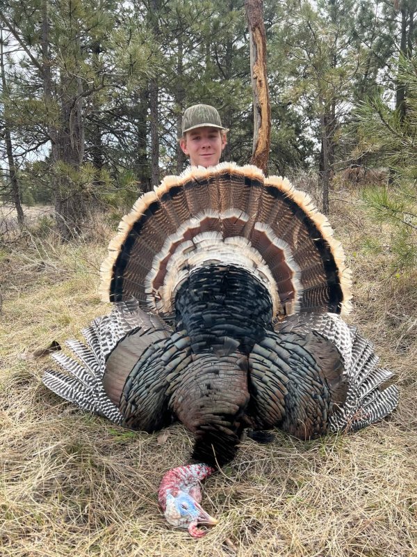 wta_2053_IMG_3414 (1)