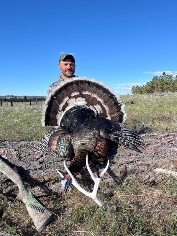 wta_2053_IMG_8218 (2)