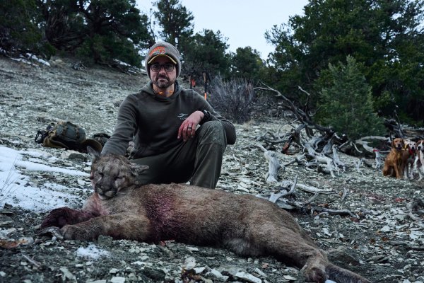 wta_2054_TFC_MountainLion_UT_124