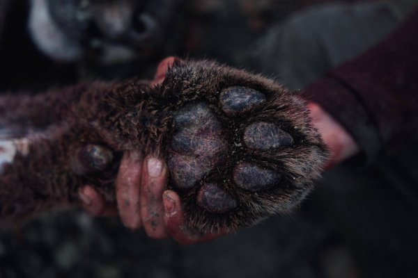 wta_2054_TFC_MountainLion_UT_17