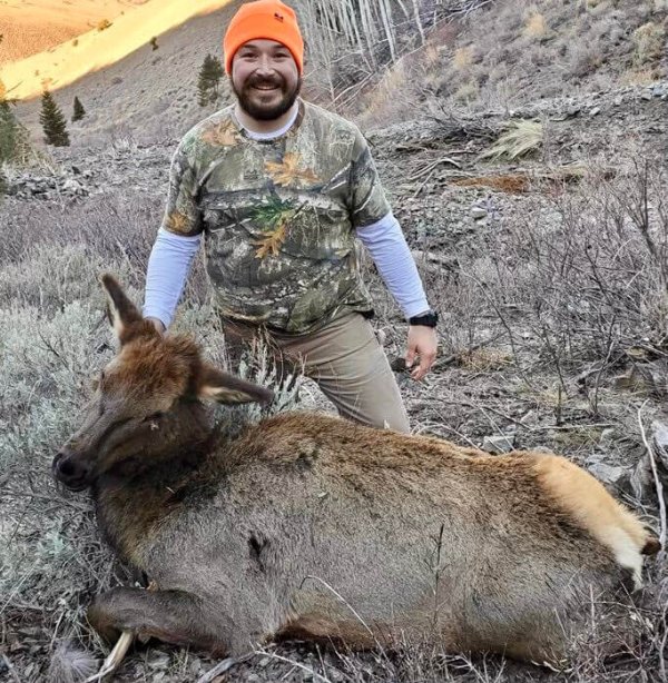 wta_2060_GOSHUTE COW #2 - '21