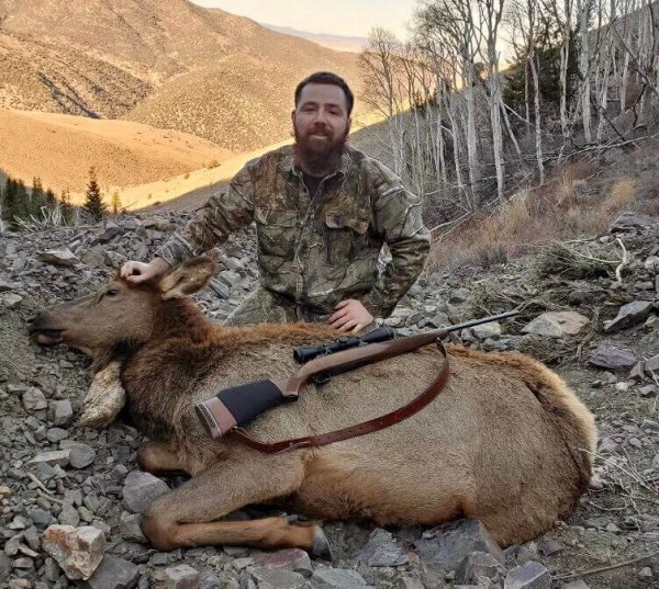 wta_2060_GOSHUTE COW #3 - '21