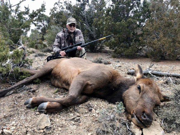 wta_2060_GOSHUTE COW #4 - '21