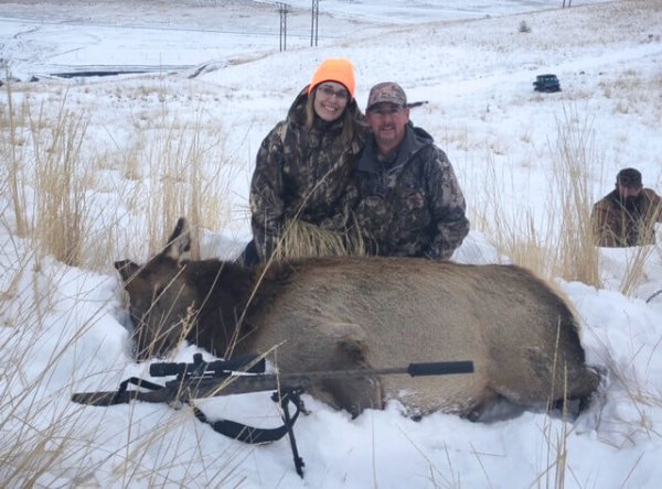 wta_2060_wta_2060_COW-ELK-4 bright