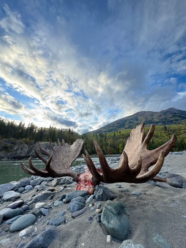 wta_2078_image_167864833