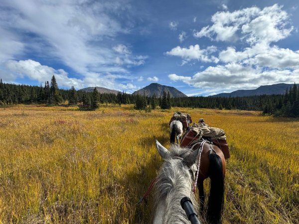 wta_2078_image_50751745