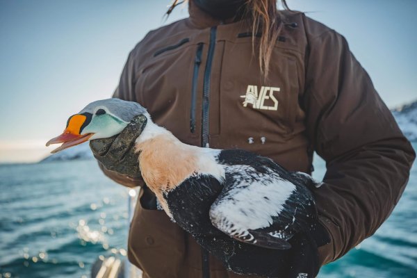 wta_2159_1M7A3708-Enhanced-NR