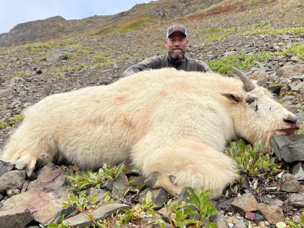 wta_2170_2023 BC goat