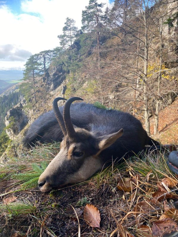 wta_2195_bbf1d5b6-d4fb-4c45-b3ba-e020589c8c5c