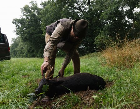 wta_2207_Germany - July 7-18