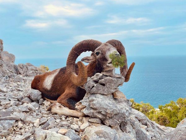 wta_2222_022e2cd1-6de4-473b-b1e2-5ce617ce9053