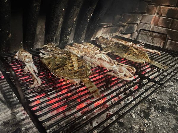 wta_2222_0c46263b-9df1-4246-9eab-f86f0bd71760