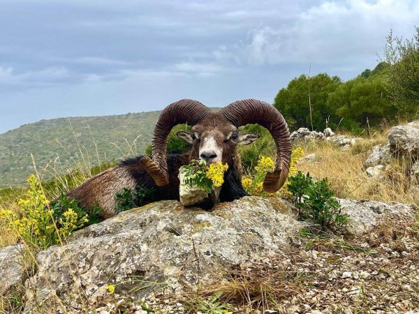 wta_2222_2603b5df-aac6-424f-861d-48d17a93b83d