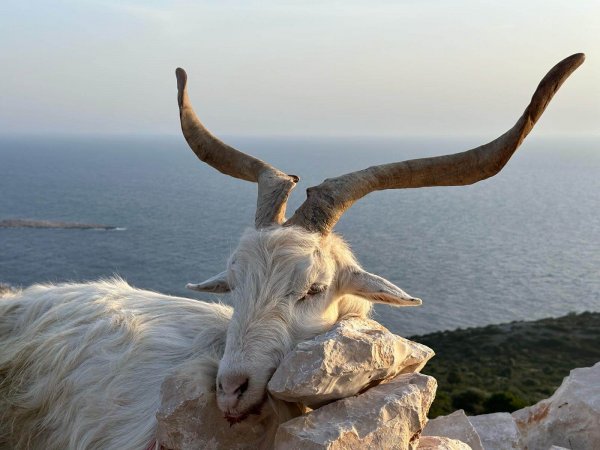 wta_2222_2d56da0d-a670-47c8-9c72-70b2fea2f8f0